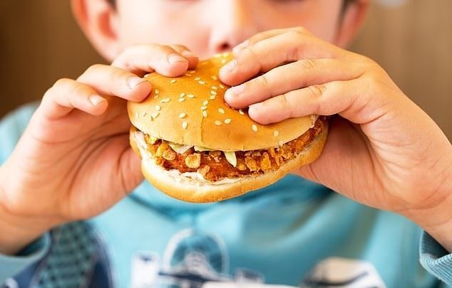 Junk food may be fuelling increase in childhood food allergies, Study