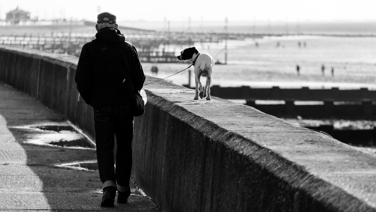 Report: Portland is Among the Most Pet Friendly Cities in US