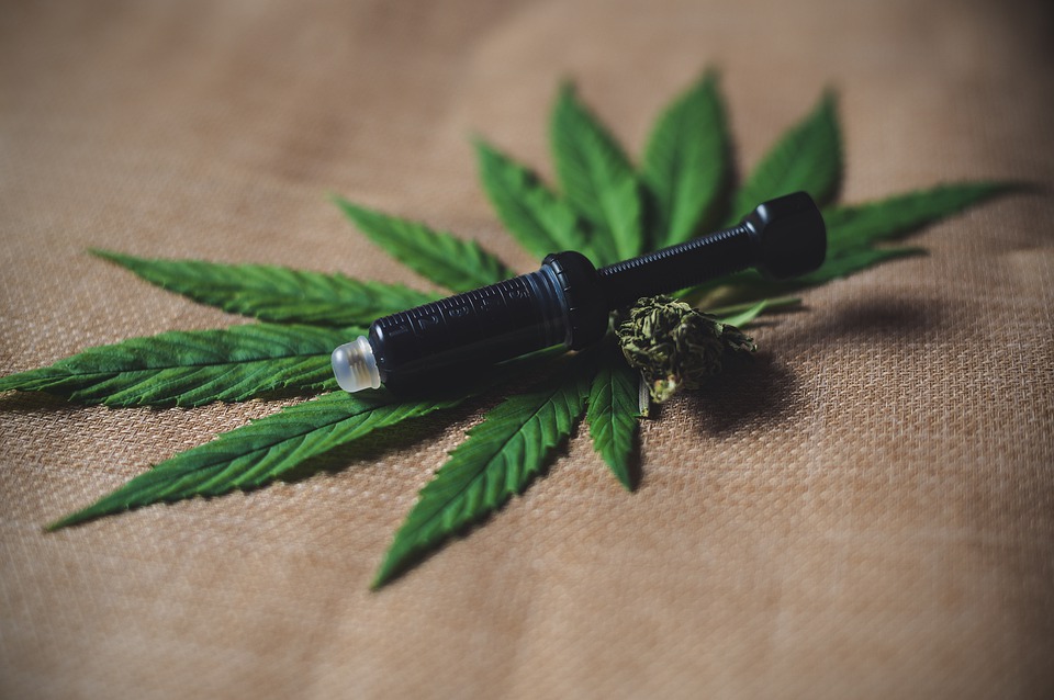 Stocks in Cannabis Sector rise Sharply