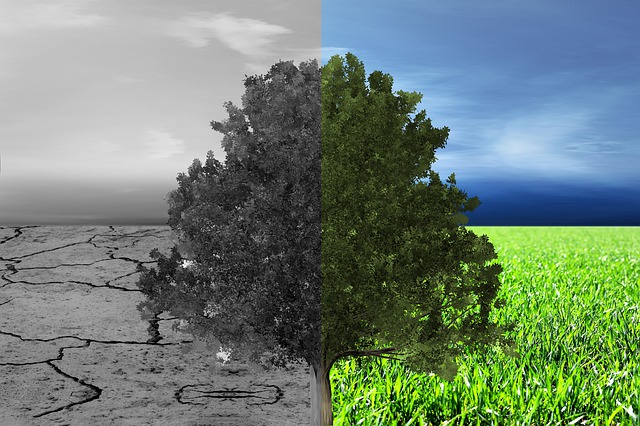 Germany to Ditch Balanced Budget Policy to Help Finance Climate Protection Program