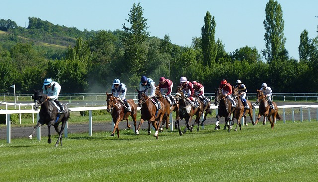 Analyzing Previous Data is a must for Bigger Returns on Betting