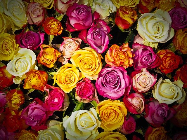Experts Share Tips you can Follow to make your Flower Shop Successful