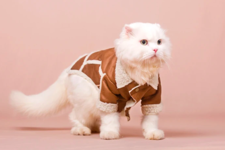 Mochi Couture is the First Clothing Line Made Specifically for Cats