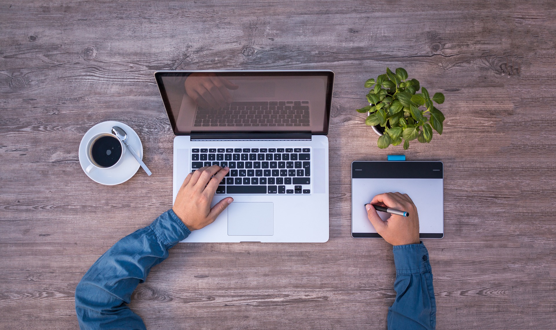 Experts Share the Importance of Web Design Elements in Improving the SEO Strategy