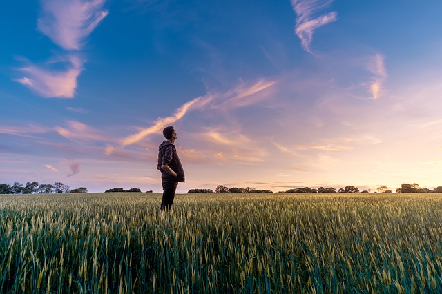 New Technology to Address the Food Crisis with Sustainable Water and Energy for Farms