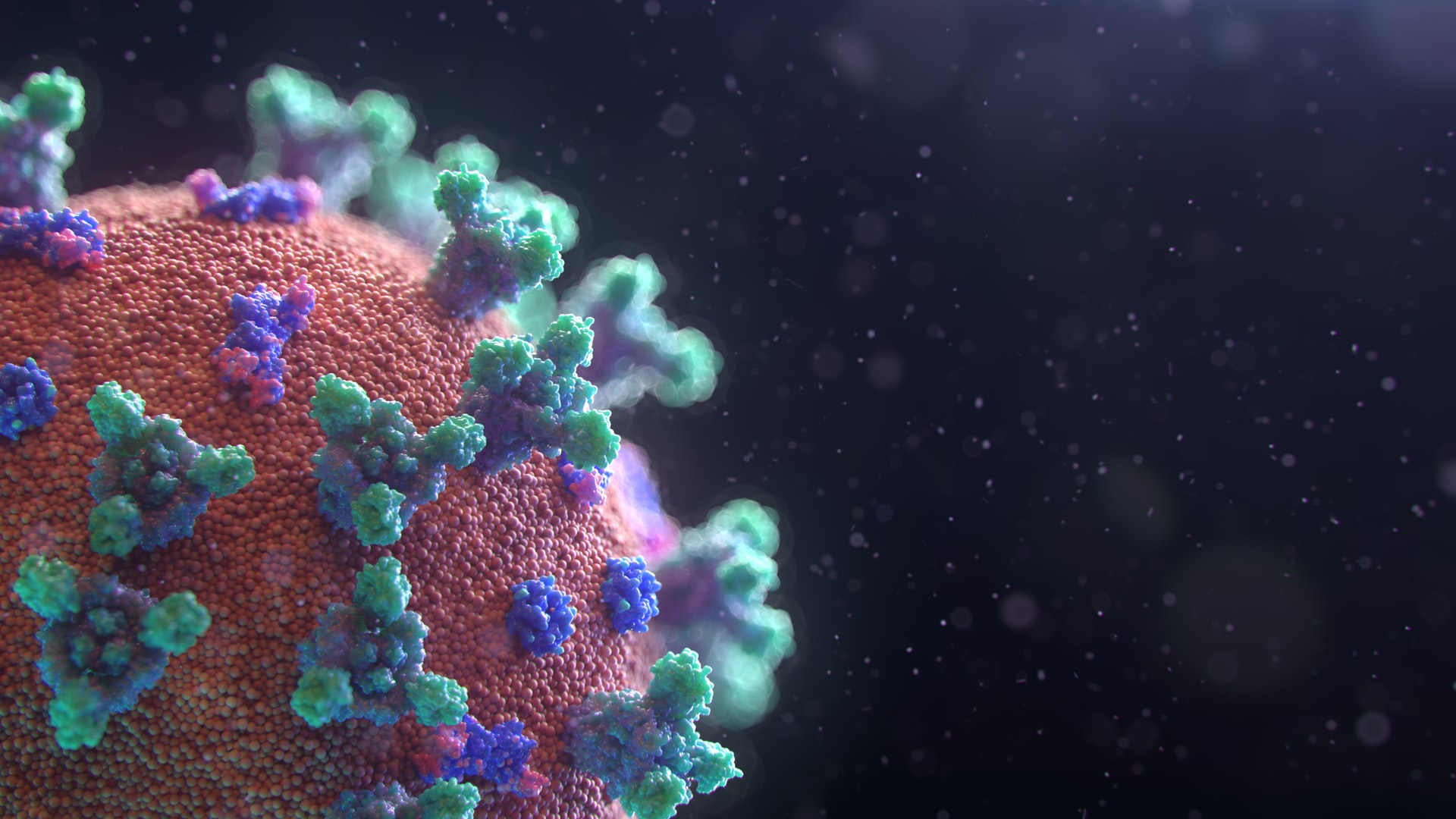 Florida Covid-19 Cases Exploding, Dermatology Journal Links CoronaVirus Rash Symptom