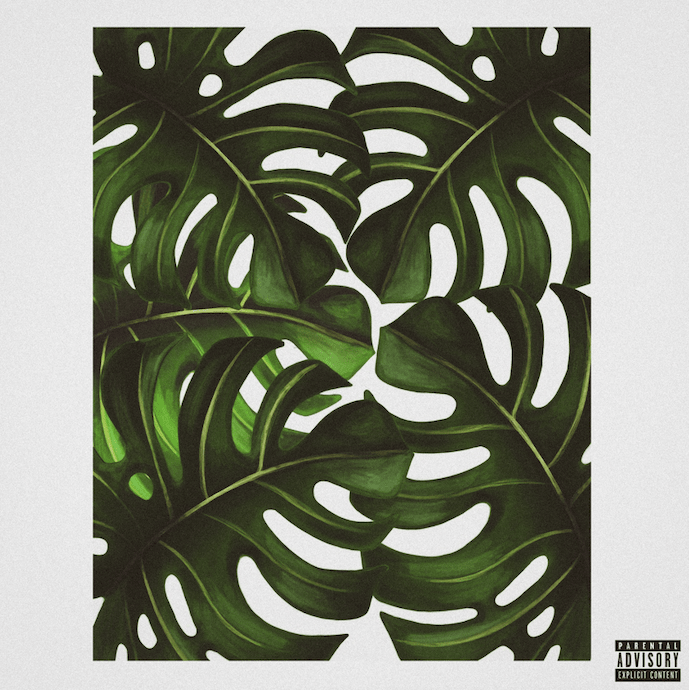Jungle