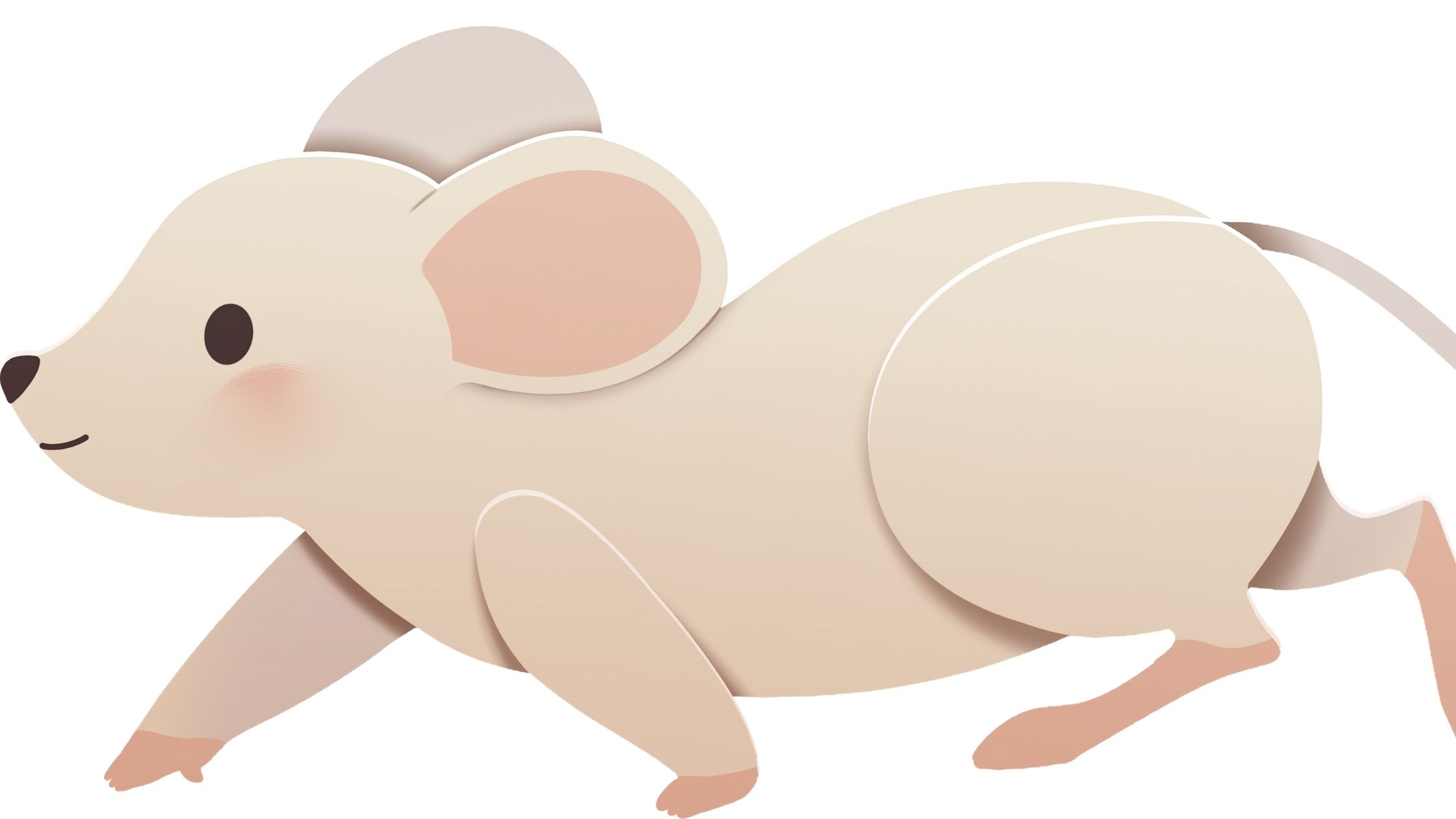 Research Finds the World’s Highest Dwelling Mammal in South America