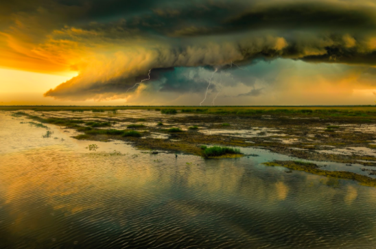 The Power of Art Healing: How Art Helped Photographer Beth Sheridan Overcome Her Difficulties in Life