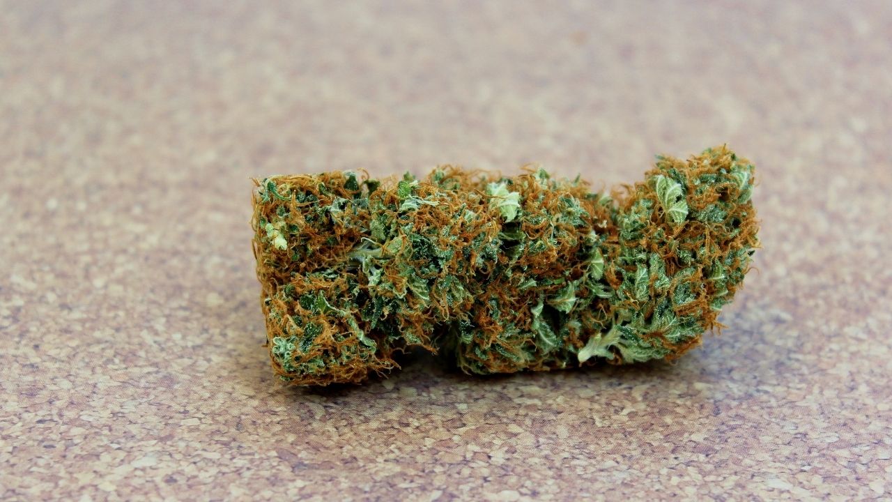 Give a good glance to the Cannabis Strains you buy, to Identify their Quality
