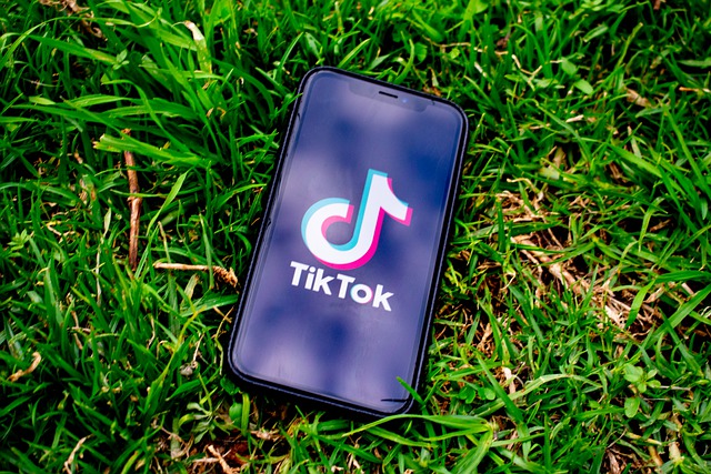 People Shared Some Tips on How to Insert the Text in a TikTok Video
