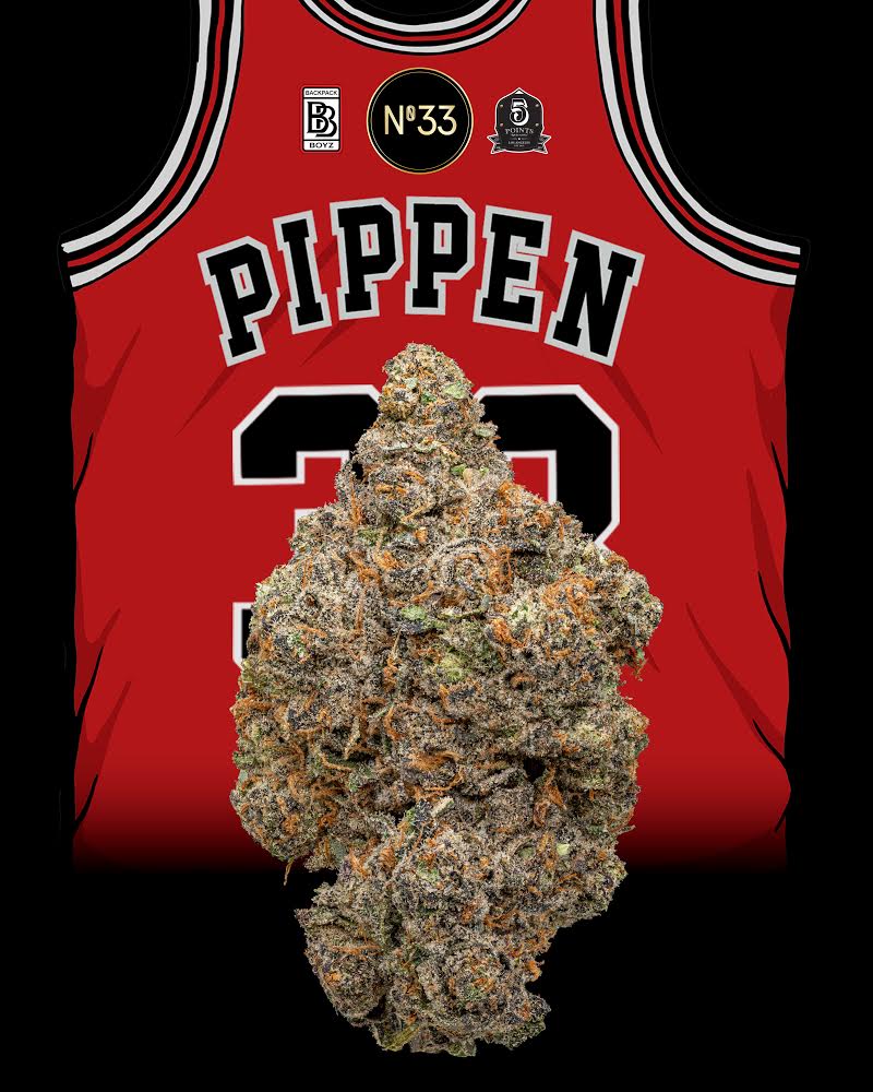 Backpack Boyz’ Strain Highlights of the Year
