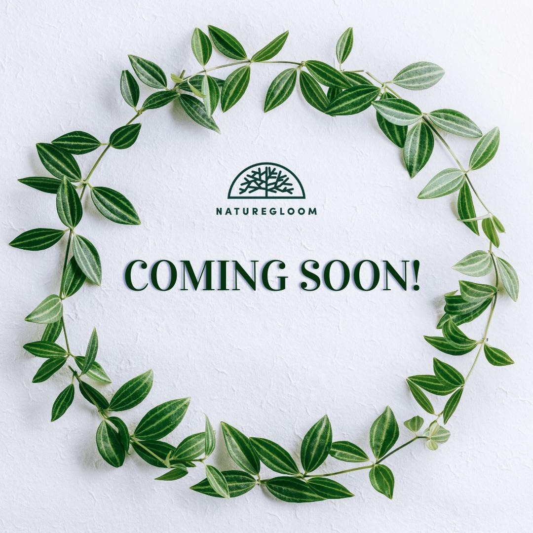 NatureGloom Is All About Top-Quality Organic Products