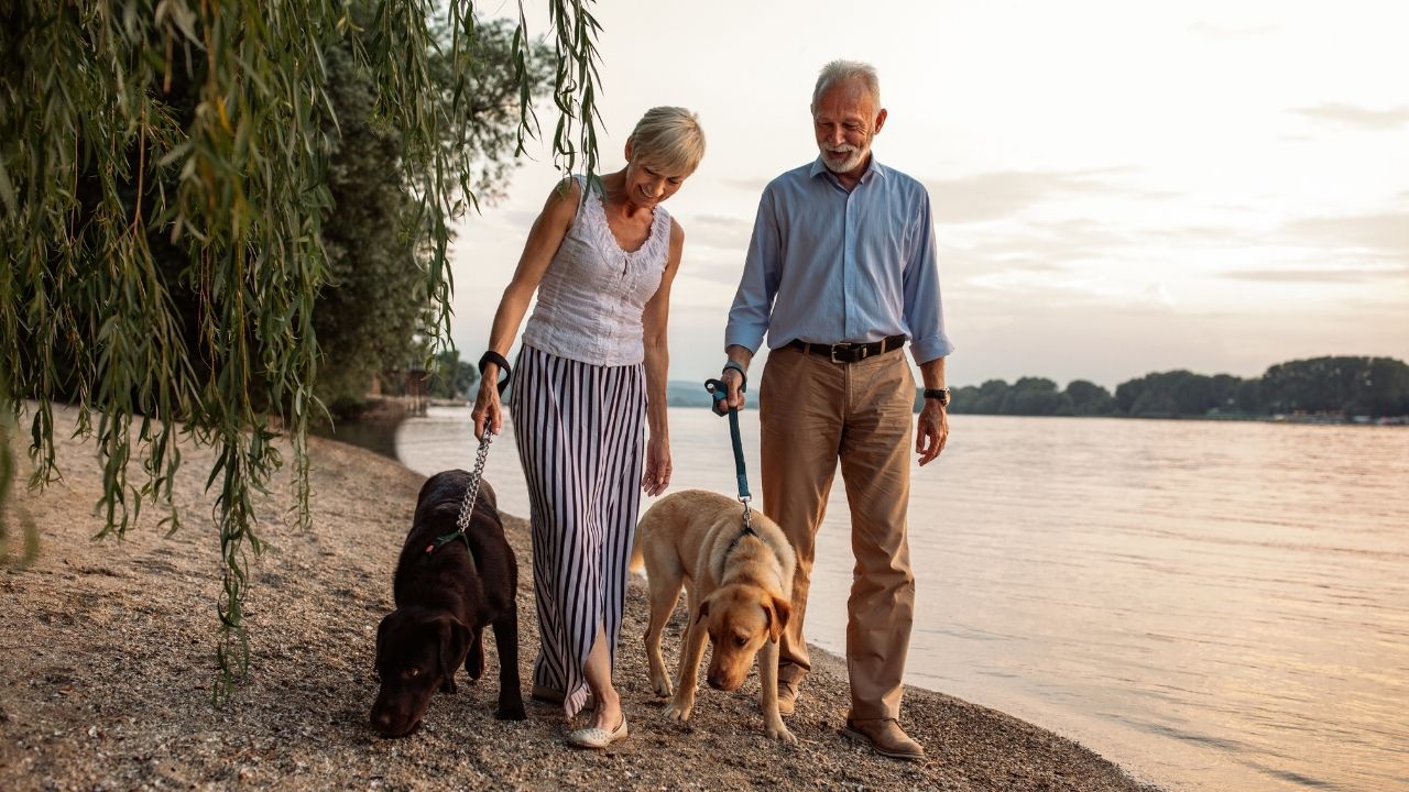 Pet Owners and Their Canines’ Bond Over Sniff Training