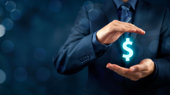 Michael Megarit – The Rise of Financial Capitalism