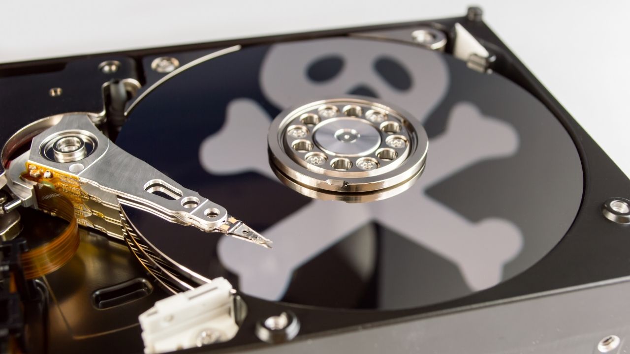 Shield Consultancy: The Combat Against Digital Piracy