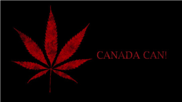 The Canada’s Stance on Cannabis Market After Legalization