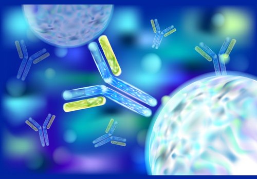 Antibody And Custom Antibody Sequencing