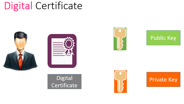 How Many Types of Digital Certificates are there?