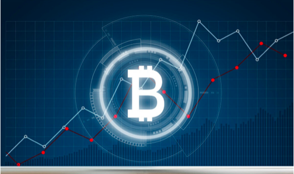 Allcoinhodler Cryptocurrency Investment Platform Review