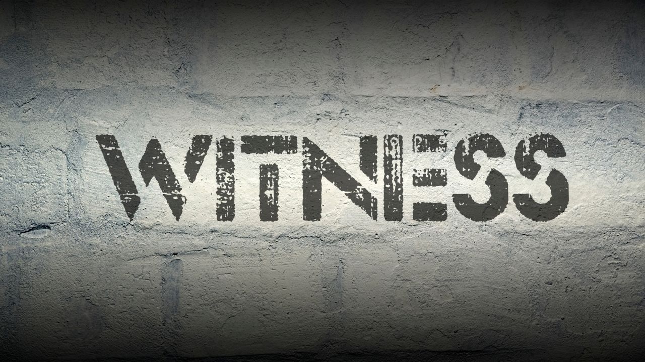 Who Are the Expert Witnesses? Typically?