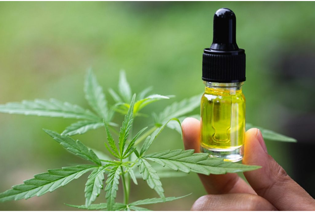 What To Know About CBD Oil For Dogs