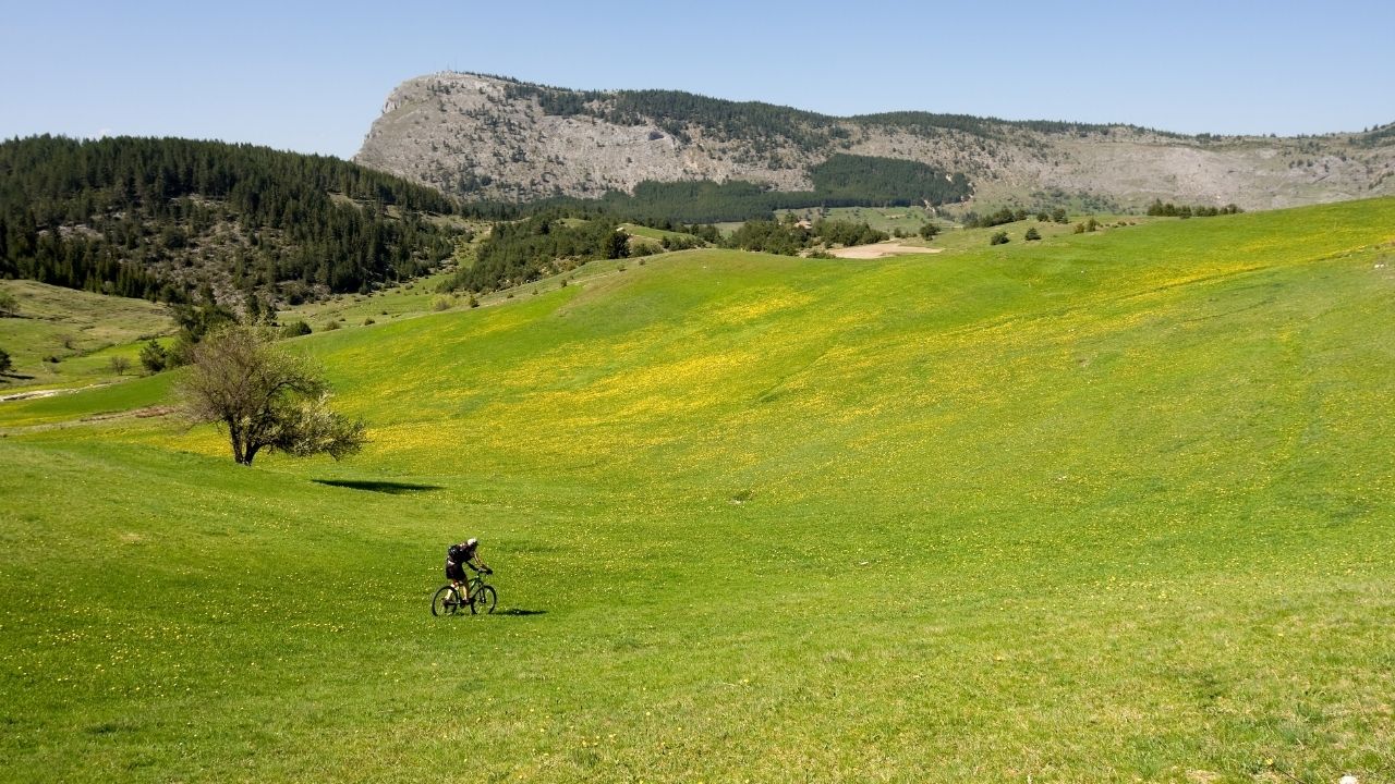 Sacramento’s Top 8 Outdoor Activities to do During the Springtime
