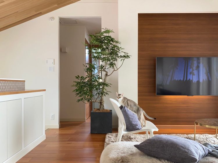 A Master Interior Designer, Ikuhiro Yamagata, Takes Influence from the Japandi design style to Decorate Interior Space Suitable for his Client’s Lifestyle