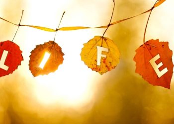 5 Tips to Win at Life