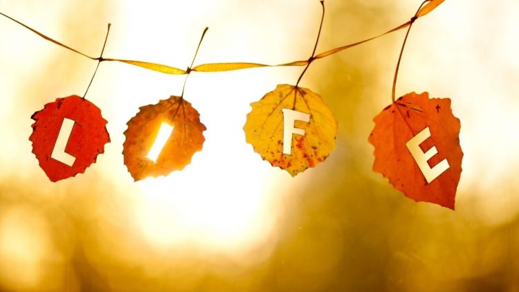 5 Tips to Win at Life