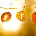 5 Tips to Win at Life