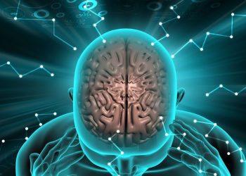 Can our brain handle multi-tasking while driving?