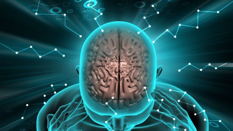 Can our brain handle multi-tasking while driving?