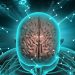 Can our brain handle multi-tasking while driving?