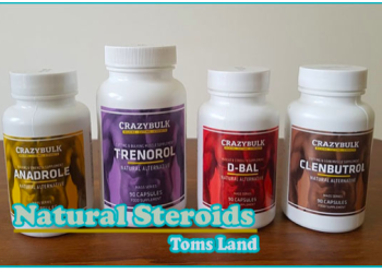Natural Steroids- Real Reason to Switch Bodybuilding to Them