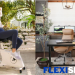 What are the products that are on sale on FlexiSpot’s Standiversary?