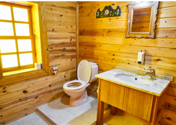 How To Prevent Sewage Backup In Your Home