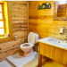 How To Prevent Sewage Backup In Your Home