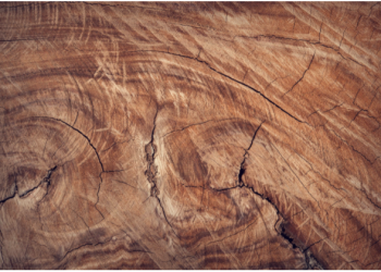 Handcrafted Wooden Gifts for Him and Her