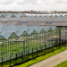 What Are the Things You Should Know About Commercial Greenhouses?