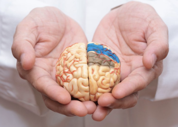With John DenBoer know Everything about Alzheimer’s Disease