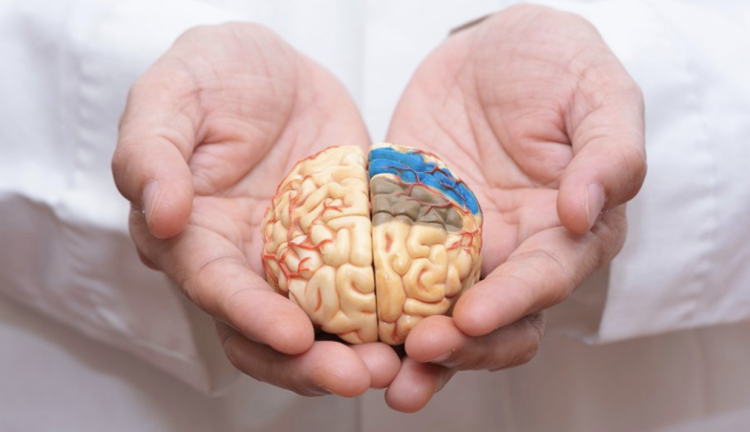 With John DenBoer know Everything about Alzheimer’s Disease