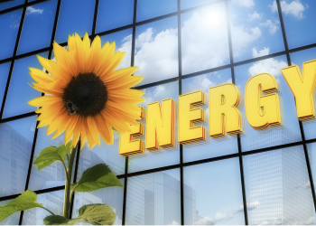 Going Solar: Thomas Neyhart Discusses the Impact on Health, the Environment, Power Costs, and More