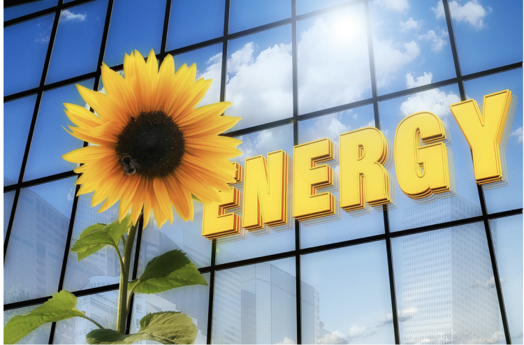 Going Solar: Thomas Neyhart Discusses the Impact on Health, the Environment, Power Costs, and More