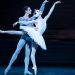 Ballet Has Left Finance Executive John Gallo with a Spring in his Step, All These Years Later