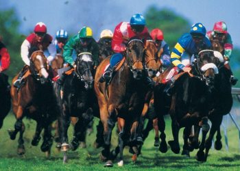 Knicks Go Bids to Win Another Pegasus World Cup
