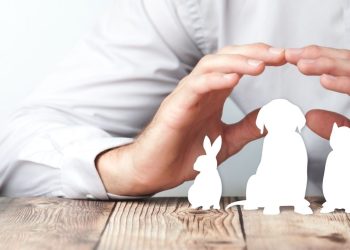 The Best Kept Secrets on Choosing the Right Pet Insurance