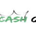 The Cash Queen: How Women Can Climb to the Top of the Financial Ladder