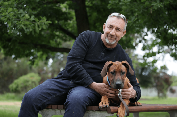 Orivet Is Changing the Way We See Our Pets