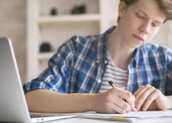 Professional Essay Writing Services: Pros and Cons
